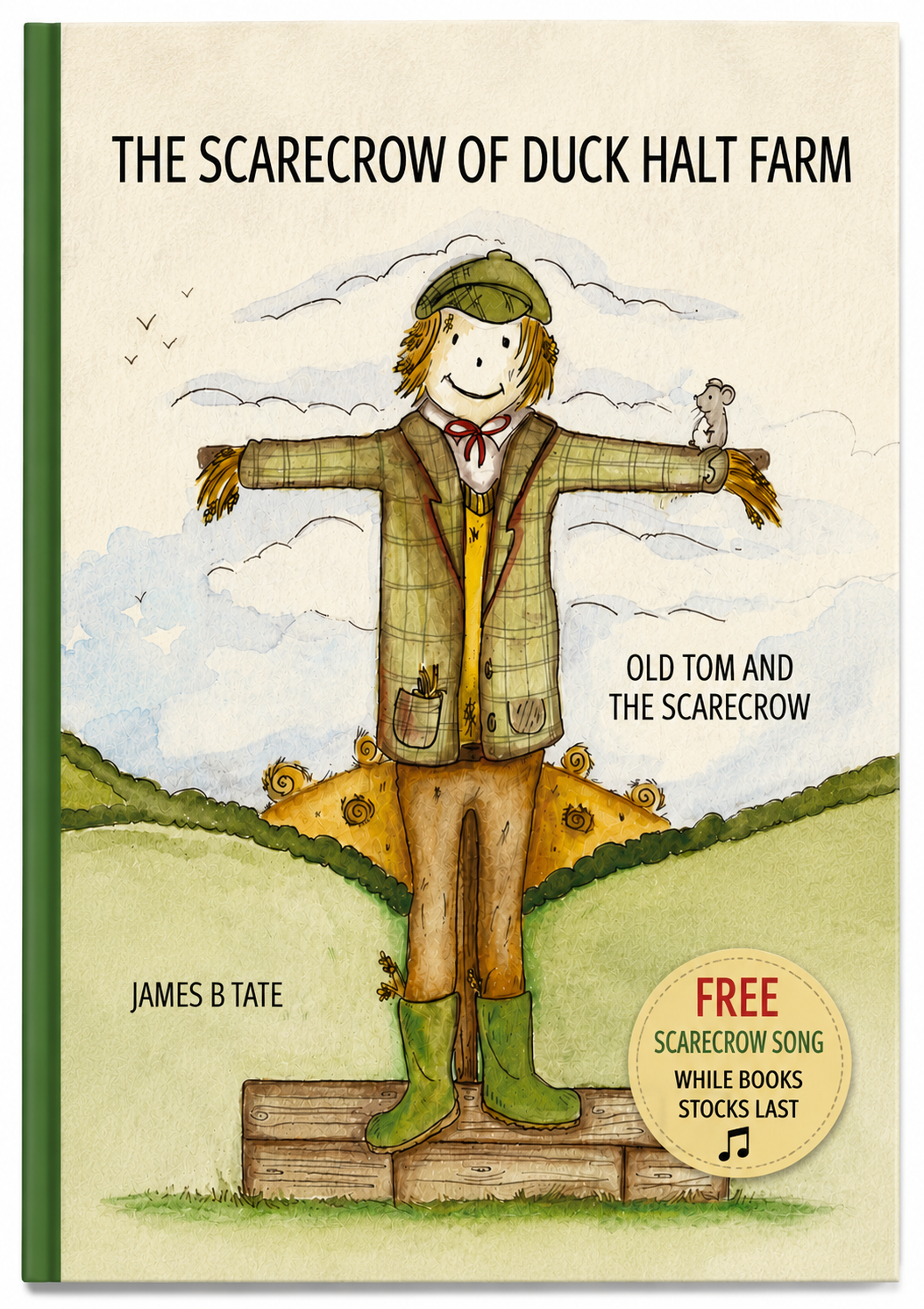 Book cover: illustration of a scarecrow standing on a wooden platform with hills, title reads 'The Scarecrow of Duck Halt Farm'